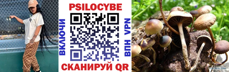 купить   Абакан  MEGA как зайти  Галлюциногенные грибы мицелий 